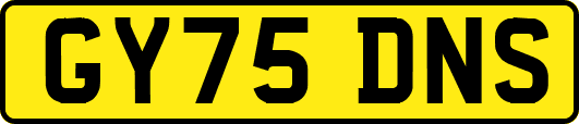 GY75DNS