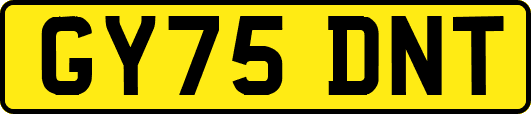 GY75DNT