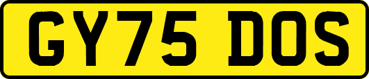GY75DOS