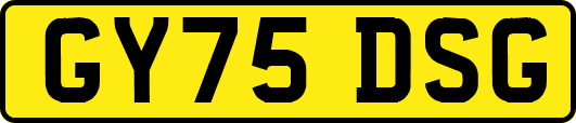 GY75DSG