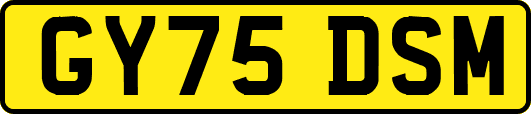 GY75DSM