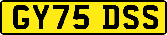 GY75DSS