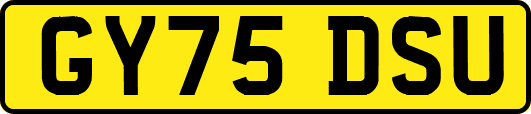 GY75DSU