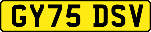 GY75DSV