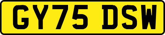 GY75DSW