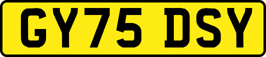 GY75DSY