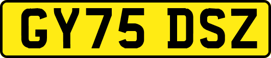 GY75DSZ