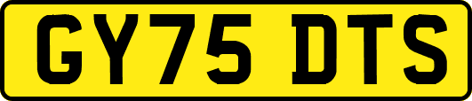 GY75DTS
