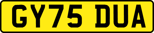 GY75DUA