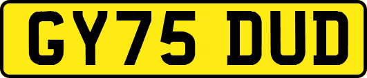 GY75DUD
