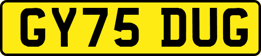 GY75DUG