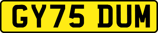 GY75DUM
