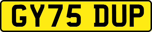 GY75DUP