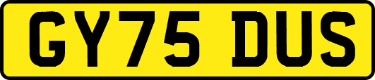 GY75DUS