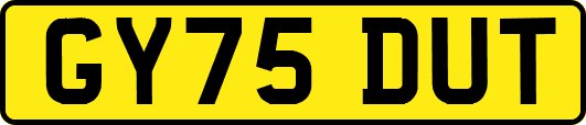 GY75DUT