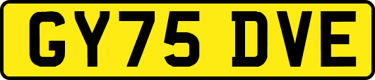 GY75DVE