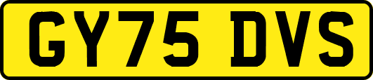 GY75DVS