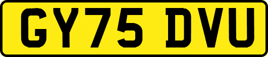 GY75DVU