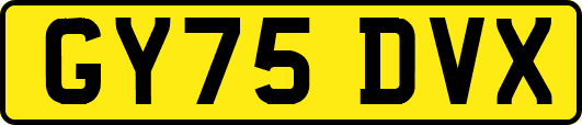 GY75DVX