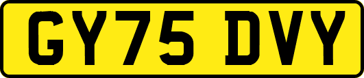 GY75DVY