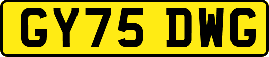 GY75DWG