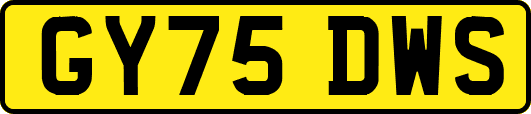 GY75DWS