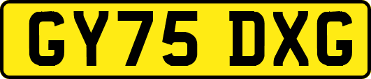 GY75DXG