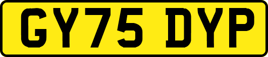 GY75DYP