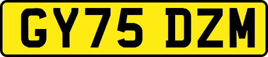 GY75DZM