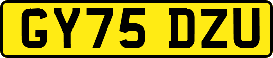 GY75DZU