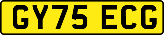GY75ECG