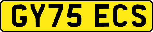 GY75ECS