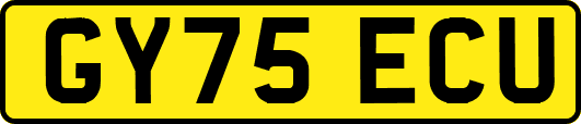 GY75ECU