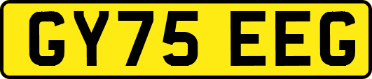 GY75EEG