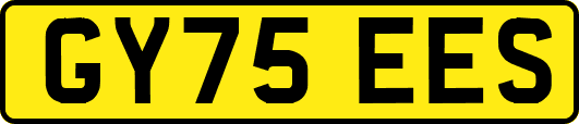 GY75EES