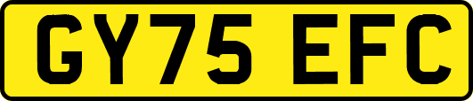 GY75EFC