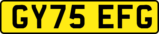 GY75EFG