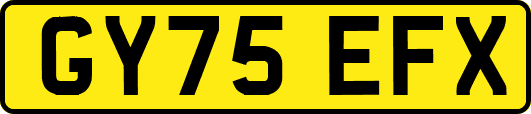 GY75EFX