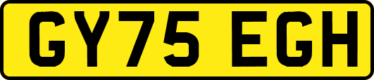GY75EGH