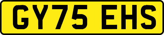 GY75EHS