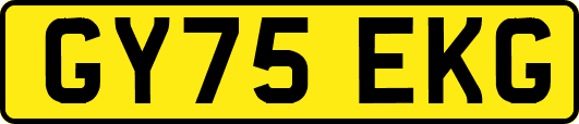 GY75EKG