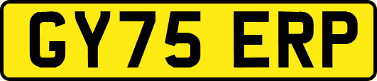 GY75ERP