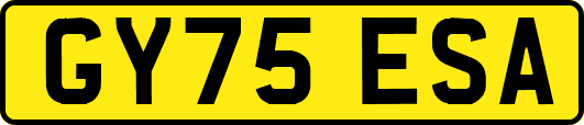 GY75ESA