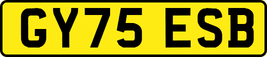 GY75ESB