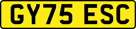 GY75ESC