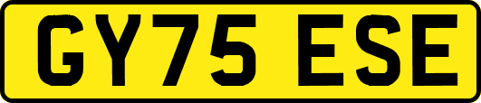 GY75ESE