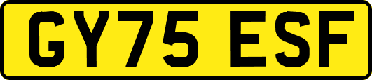 GY75ESF