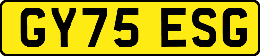 GY75ESG
