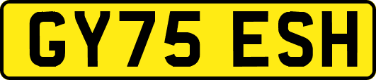 GY75ESH