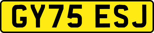 GY75ESJ